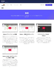 wallarm_video
